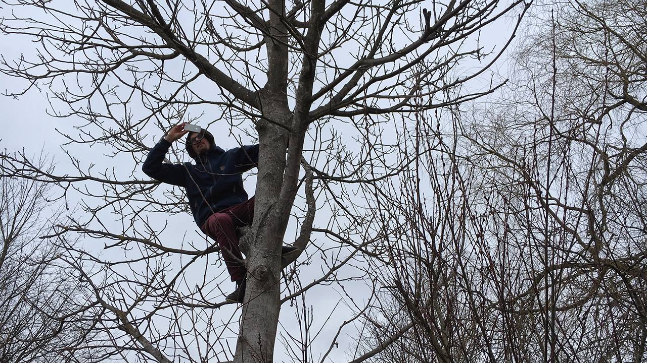 mystbaum.jpg